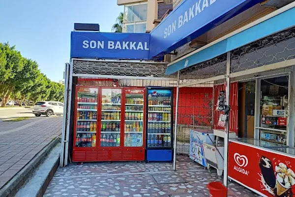 Sebze Meyve Gıda - Resim 1
