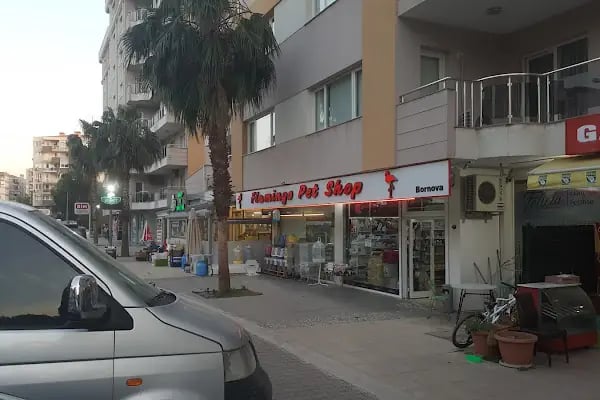 Flamingo Pet Shop - Resim 18
