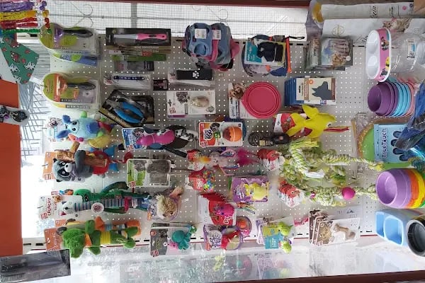 Golden Pet Shop Güzelyalı Göztepe stadı - Resim 2