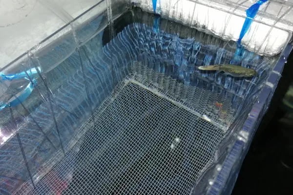 Hobi Pet Shop - Resim 16
