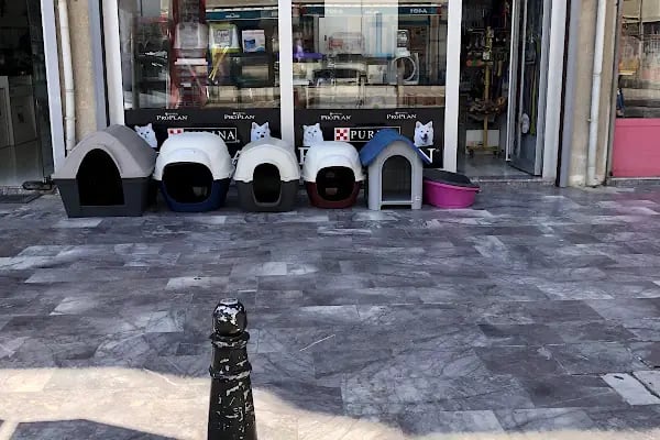Hobi Pet Shop - Resim 15