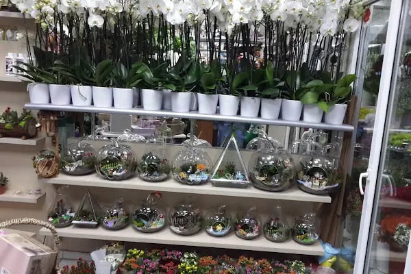 Konya Cevdet Çiçekçilik - Konya Çiçek Siparişi - Resim 14