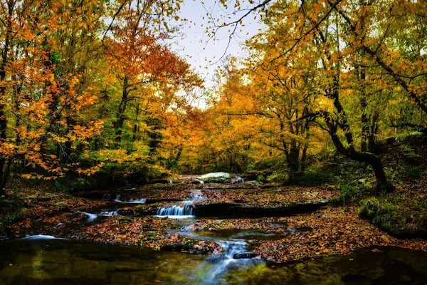 Suuçtu Tabiat Parkı ve Şelalesi - Resim 19