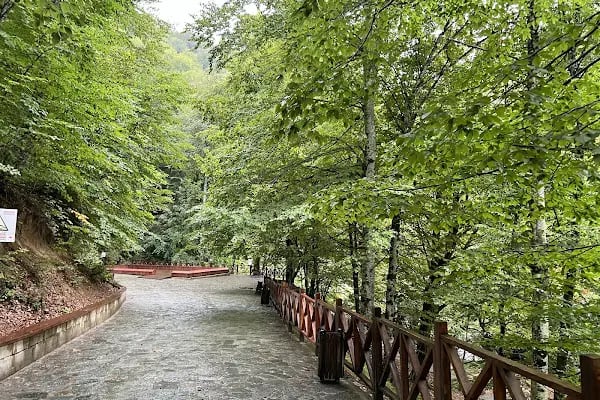Suuçtu Tabiat Parkı ve Şelalesi - Resim 3