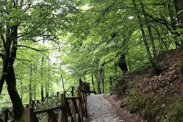 Suuçtu Tabiat Parkı ve Şelalesi - Resim 20