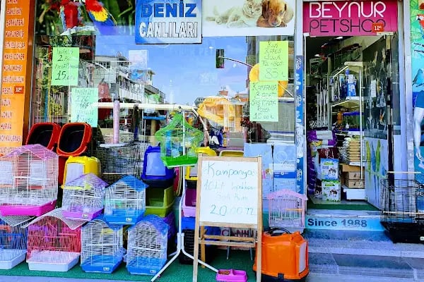 Beynur Petshop - Resim 1