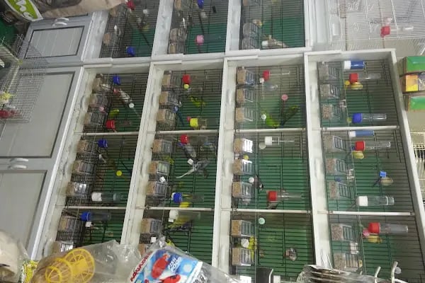 Beynur Petshop - Resim 3