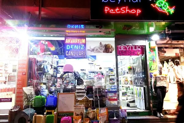 Beynur Petshop - Resim 6