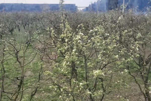 RB Karesi Holding - Resim 14