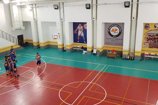 ALİ PEÇEN SPORTİF Voleybol ve Basketbol Okulu, Üst Göztepe-Esatpaşa Şubesi - Resim 3