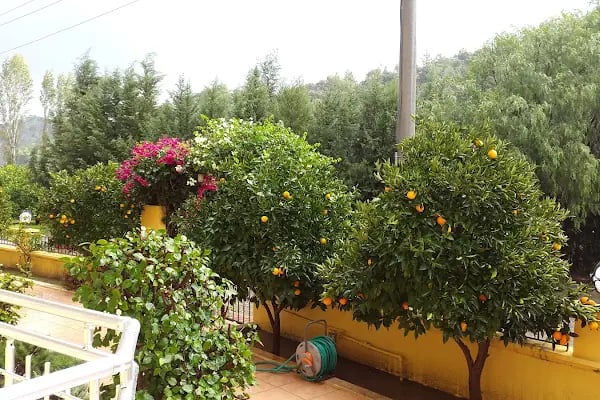 Sirman apart otel - Resim 7