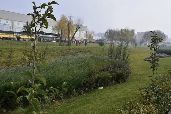 Balıkesir Üniversitesi | Balikesir University "Köklü geçmiş, güçlü gelecek." - Resim 15