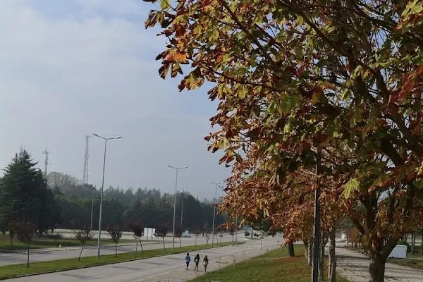 Balıkesir Üniversitesi | Balikesir University "Köklü geçmiş, güçlü gelecek." - Resim 18