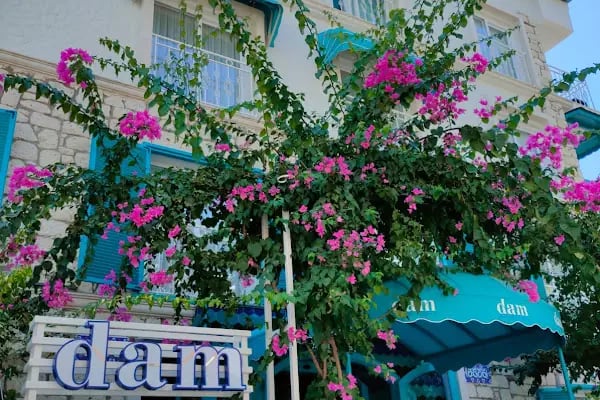 Dam Hotel Lara - Resim 5