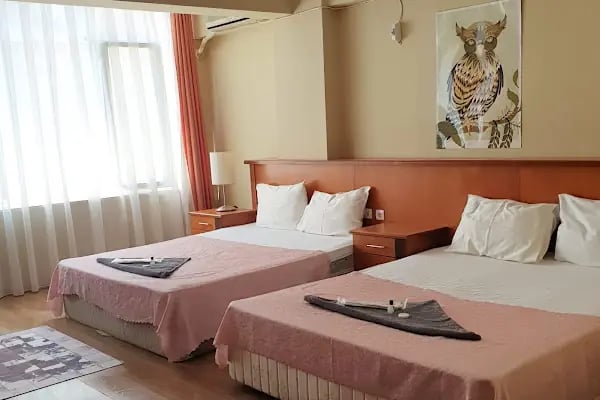 One Blood Hotel - Resim 5