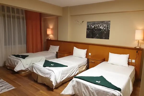 One Blood Hotel - Resim 4