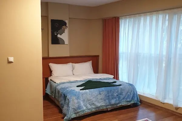 One Blood Hotel - Resim 15