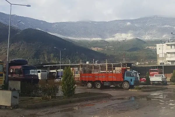 Turunçova Hali - Resim 7
