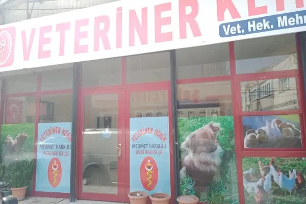 Hakkulu Veteriner Kliniği - Resim 2