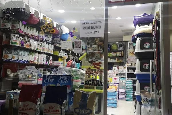 Ataşehir pet kuaför - Resim 1