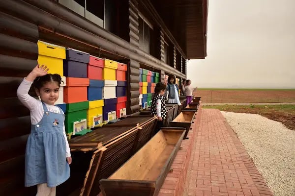 Afşin Arı Evi - Resim 6