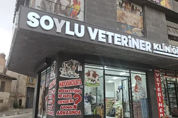 Soylu Veteriner Klinigi - Resim 3