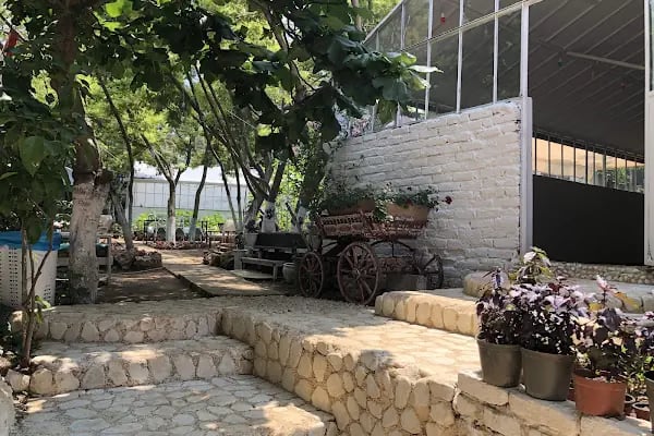 Bahçeden Sofraya - Resim 12