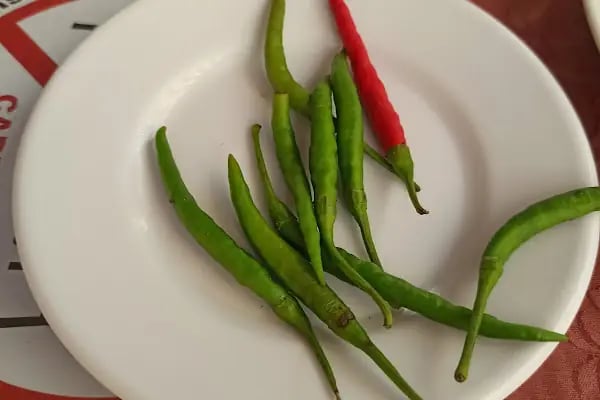 Yağmur Restoran - Resim 12