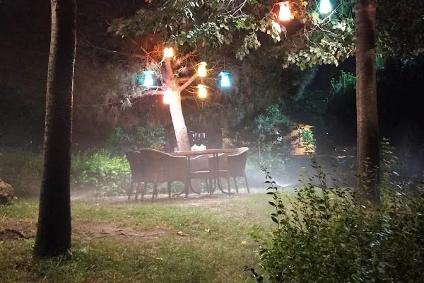 Nilüfer Cafe - Resim 4