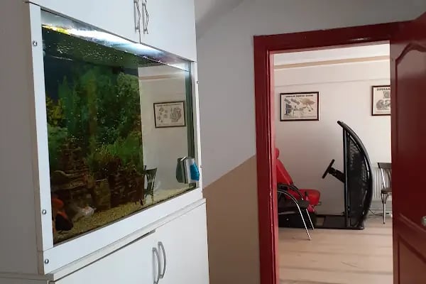 Yeni Damla Sürücü Kursu - Resim 3