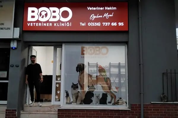 Narlıdere Bobo Veteriner kliniği - Resim 7