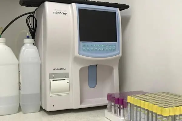 Narlıdere Bobo Veteriner kliniği - Resim 14