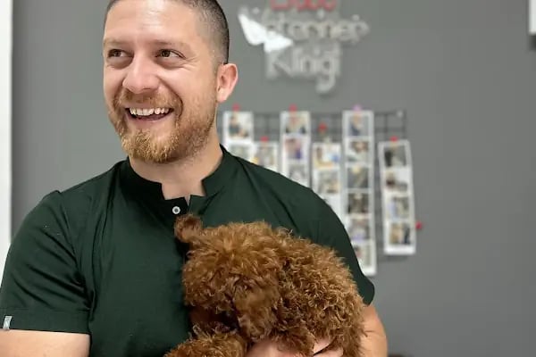 Narlıdere Bobo Veteriner kliniği - Resim 1