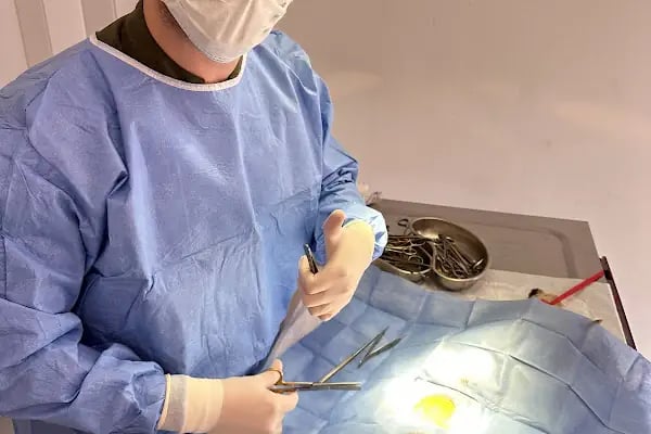 Narlıdere Bobo Veteriner kliniği - Resim 19