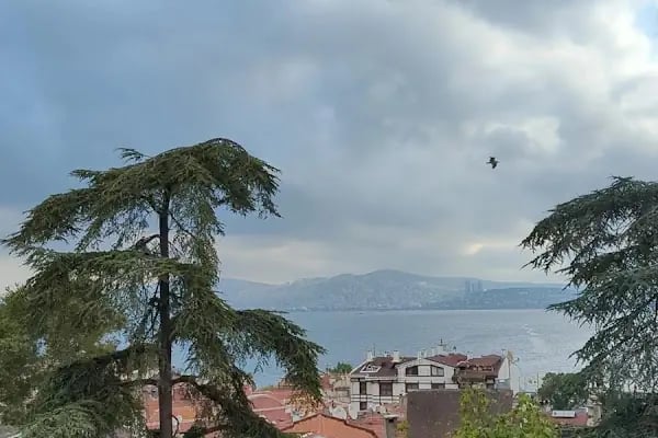 Şehit Binbaşı Metin Sülüş Parkı - Resim 18
