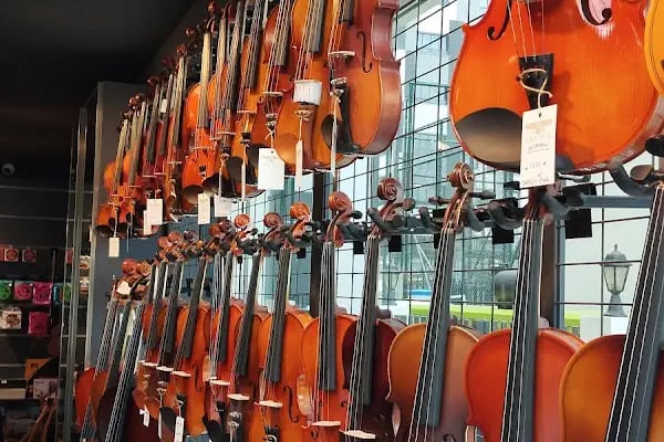 Sümer Müzik Aletleri Mağazası - Piyano Gitar Keman Bağlama - Resim 11