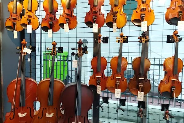 Sümer Müzik Aletleri Mağazası - Piyano Gitar Keman Bağlama - Resim 8