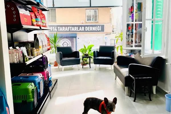 Yuka Veteriner Kliniği - Resim 15