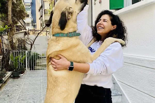 Yuka Veteriner Kliniği - Resim 7