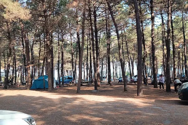 Sofular Köyū Halk Plajı - Resim 4
