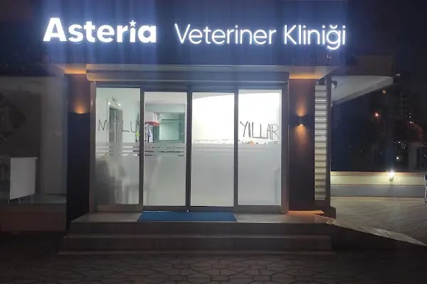 ASTERİA VETERİNER KLİNİĞİ - Resim 4