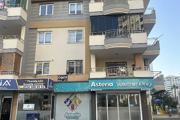 ASTERİA VETERİNER KLİNİĞİ - Resim 16