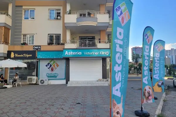 ASTERİA VETERİNER KLİNİĞİ - Resim 2