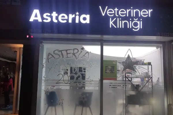 ASTERİA VETERİNER KLİNİĞİ - Resim 5