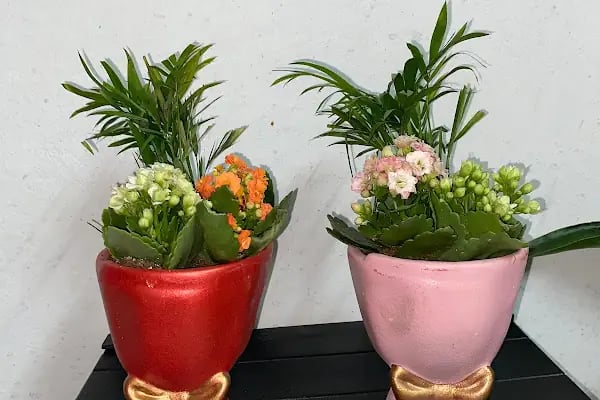 Bk Flowers Çiçek Stüdyosu - Resim 19