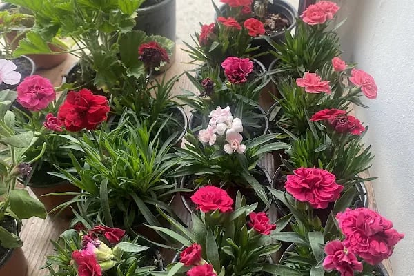 Bk Flowers Çiçek Stüdyosu - Resim 10
