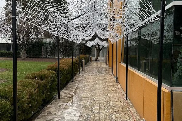 Meva Ahal Wedding - Resim 6