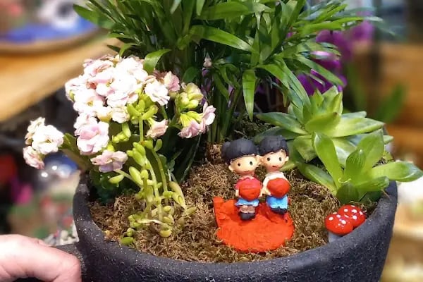 Şok Market Kapaklı Yaşar Doğu Mağazası - Resim 5