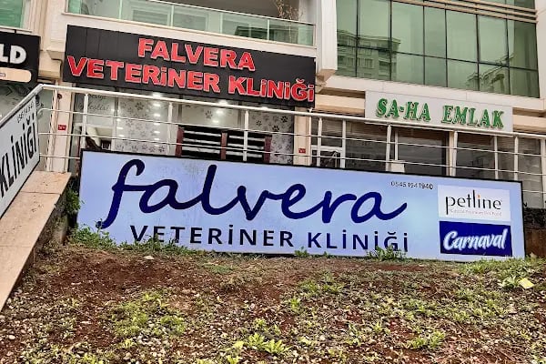 Falvera Veteriner Kliniği (YUSUF KETRE) - Resim 12