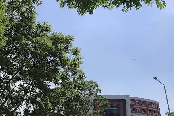 İstanbul Üniversitesi - Cerrahpaşa Mühendislik Fakültesi - Resim 16